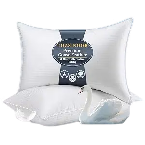 COZSINOOR Goose Down Feather Pillow